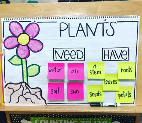 Parts Of A Plant Anchor Chart Plants Anchor Charts Parts Of A Plant Nbkomputer