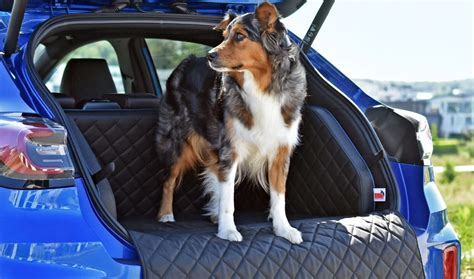 Neu Auto Hundebox Bequeme Liege F R Den Kofferraum Viele Farben