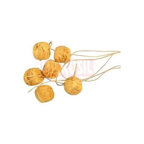 electroscope pith ball microsilindia