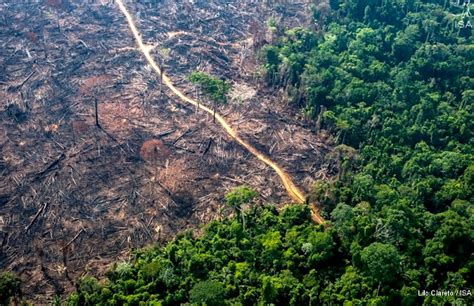 Sistema de Alertas de Desmatamento SAD Mata Atlântica identifica mais