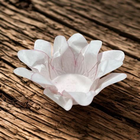 Forminha Para Doces Finos L Rio Nude Unidades Decora Doces Rizzo Rizzo Embalagens