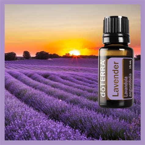 Aceites Esencial De Lavanda 15ml DoTERRA Original Ligma20