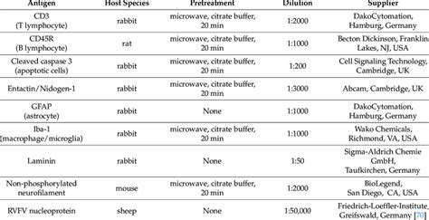 Primary Antibodies Used For Immunohistochemistry Download Scientific Diagram