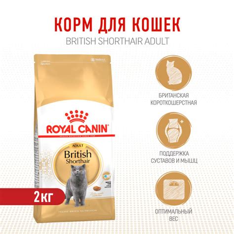Royal Canin British Shorthair Adult сухой корм для взрослых кошек ...
