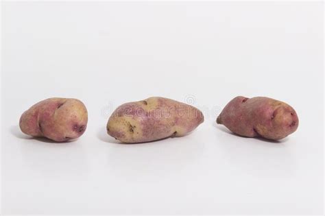 Types Of Potatoes Huayro Potatoes Still Life Stock Photo Image Of