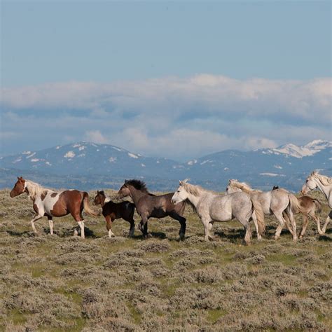 Jeffrey City Wyoming: Amazing Views And Landscapes