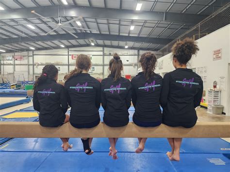 Gymnastics Michiana Girls... - Gymnastics Michiana Girls Team