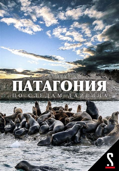 «Патагония: По следам Дарвина» (Patagonien, hujjatli, germaniya, 2012 ...