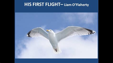 His First Flight By Liam O Flaherty English Story Video Plus