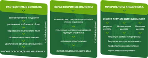Пищевые волокна, или клетчатка - значение, функция и виды
