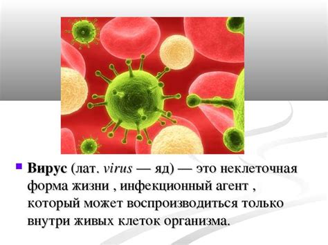 Презентация на тему Вирусы скачать бесплатно презентации по Биологии