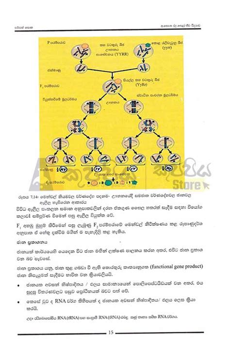 Biology Sampath Potha Resource Book Grade Sinhala Medium