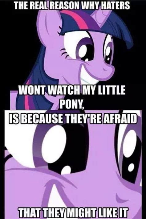 My Little Pony Memes Cute