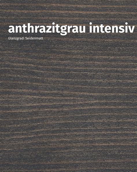 Remmers Pflege L Anthrazitgrau Intensiv L