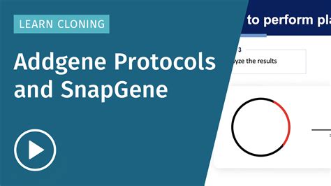 Learn Golden Gate Assembly Snapgene