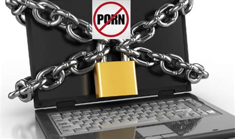 Woman Wants Ban On Porn Websites Files Petition In Mumbai Court As Husband Gets Addicted To