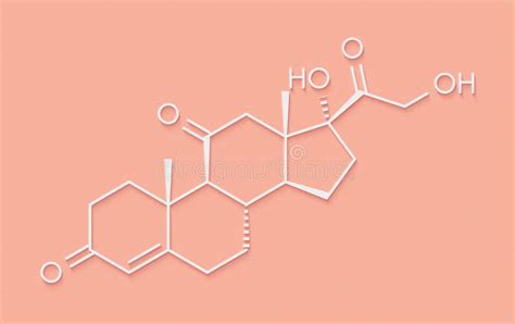 Hormona Esteroide De La Cortisona Fórmula Química Y Mes Estructurales