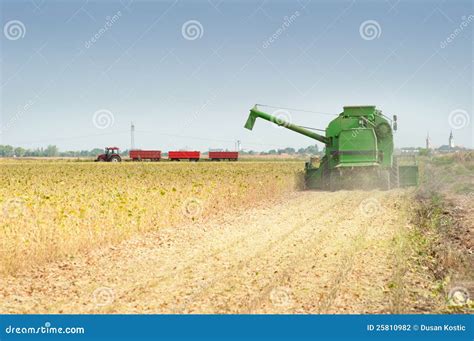 Combine Harvesting Soybeans Stock Photo Image Of Harvester Food