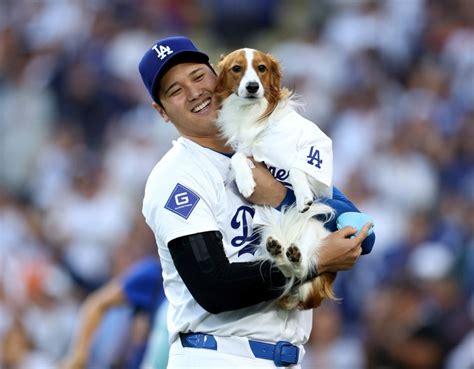 Shohei Ohtani’s Dog Throws Out First Pitch At Dodgers Game