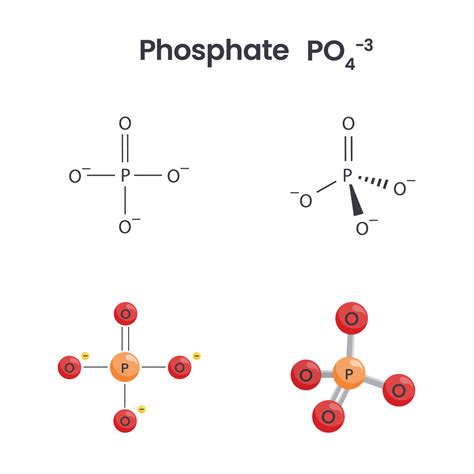 Phosphate anion chemical structure science vector graphics 20953336 Vector Art at Vecteezy