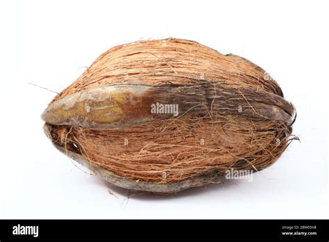 Dried Coconut Isolated On White Background Stock Photo Alamy