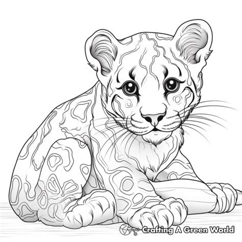 Clouded Leopard Coloring Pages Free And Printable