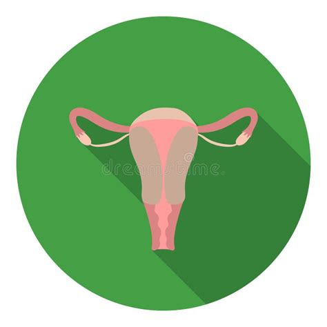 Uterus Icon In Outline Style Isolated On White Background Pregnancy