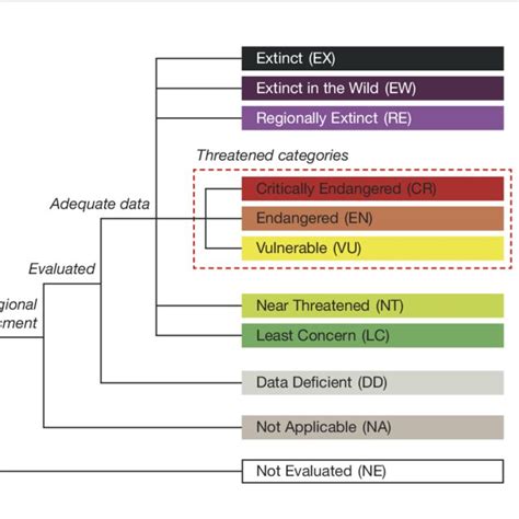 Iucn Red List Categories At The Regional Level Iucn 2012b For A