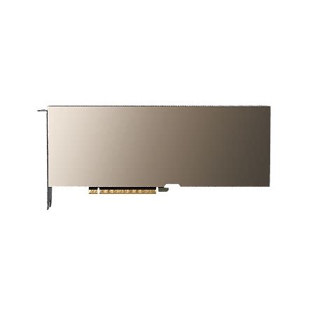 Placa De Vídeo NVIDIA Tesla A100 80GB AI - Inteligência Artificial ...