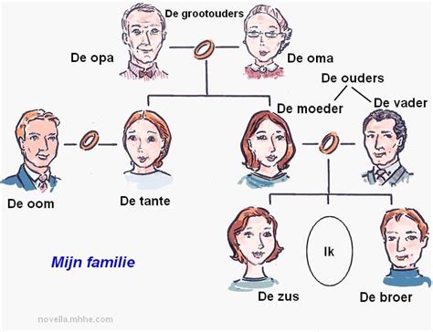 Basic Dutch Phrases To Use In The The Netherlands Artofit