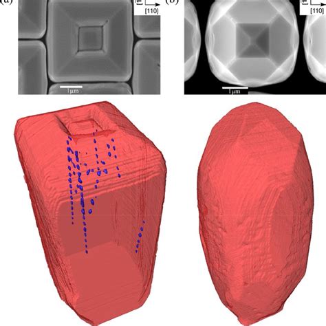 A Sem Top View And D Reconstruction Obtained From Fib Sem Cross