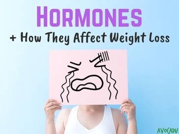 How Hormones Affect Weight Loss How To Reset Avocadu