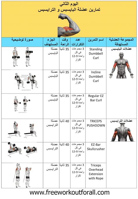 جدول تمارين كمال الاجسام 5 ايام Quick Workout Gym Workout Guide Gym