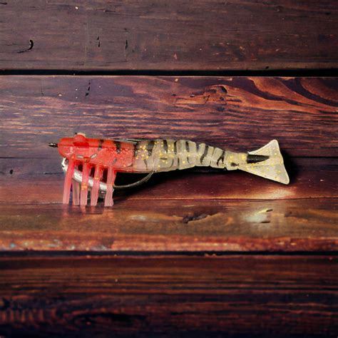 how to hook live shrimp 5