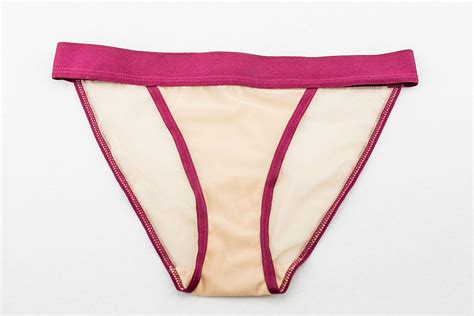 Heartfelt D Embroidered Florals Lingerie Set In Maroon Dreamscape