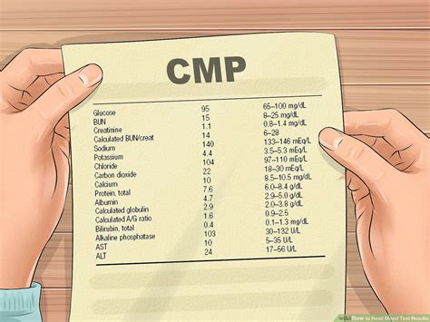 Understanding Blood Test Results Cbc