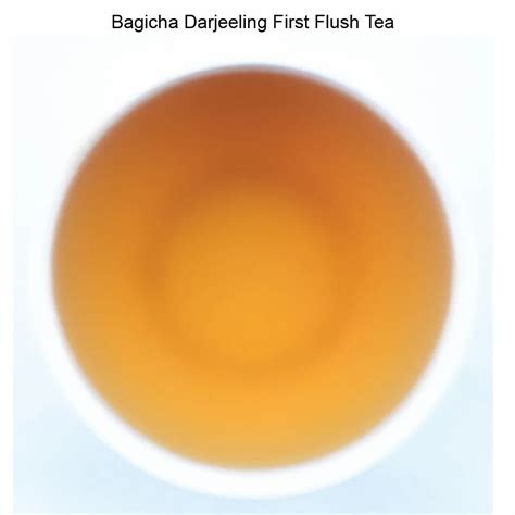 CTC Bagicha Darjeeling First Flush Tea 100 G Grade FTGFOP1 CL At Rs