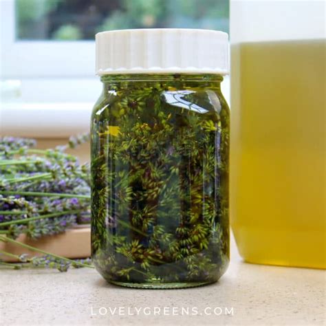 How To Make Lavender Oil A Step By Step Guide • Lovely Greens