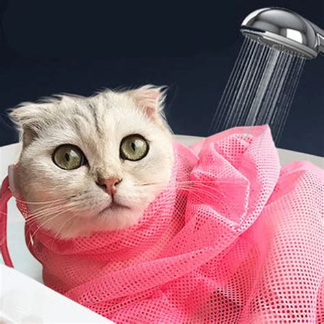 Top 10 Purrrfect Cat Bags for Easy Bathing: A Comprehensive Buying Guide! - Furry Folly