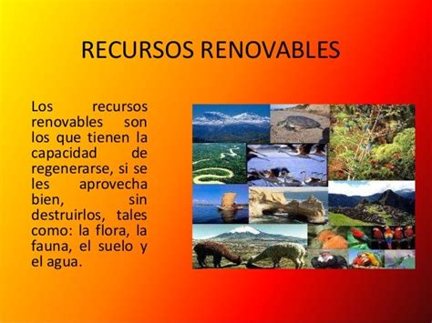 Concepto Y Clasificación De Los Recursos Naturales