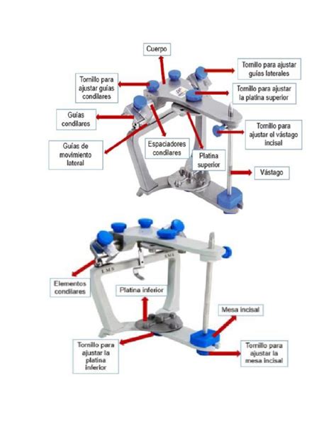 partes del articulador
