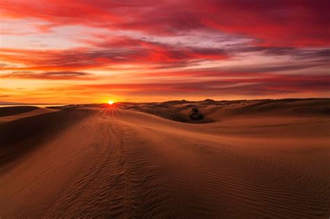 Premium Photo Beautiful Sunset Over The Sand Dunes In The Arabian