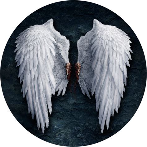 Real Angel Wings Png