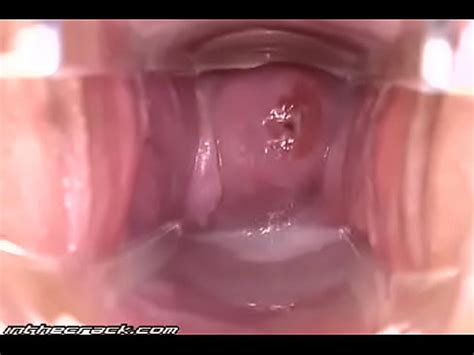 Primeros planos de coño de alta definición XVIDEOS