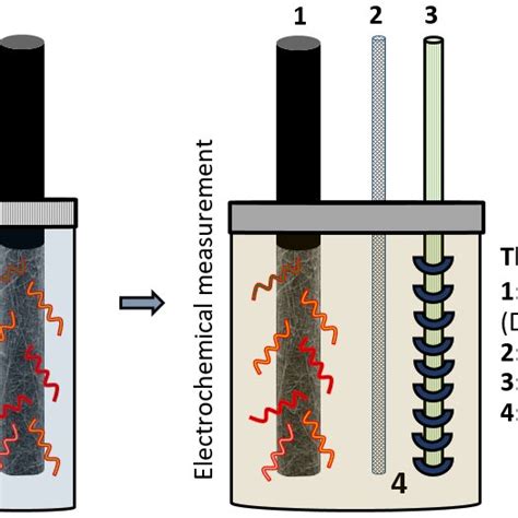 Schematic Illustration Of Cman Nanofibers Biosensor Preparation And