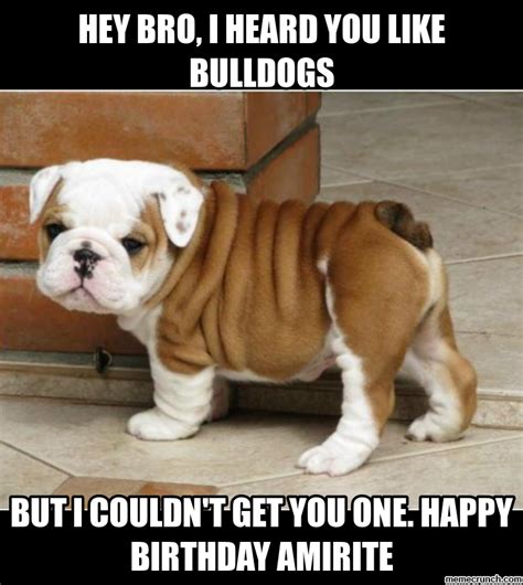 Funny bulldog Memes