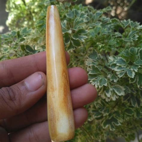 Jual Pipa Rokok Asli Murah Tulang Kerbau Warna Kuning Gading Once