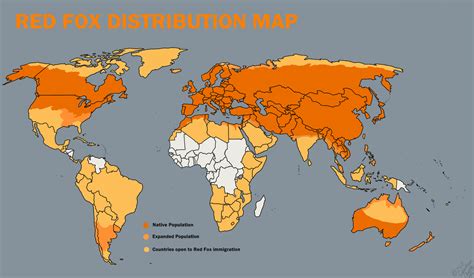 Red Fox Distribution Map by ArtRock15 on DeviantArt