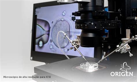 Icsi Saiba Mais Sobre A Fecunda O Na Fiv Cl Nica Origen