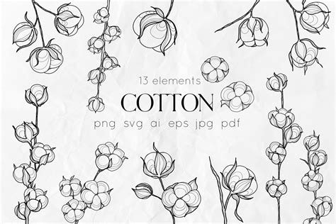 Cotton Line Art SVG Design Cuts